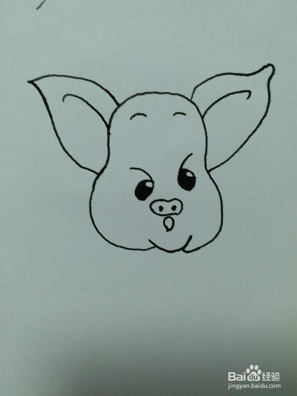 小猪的简笔画法