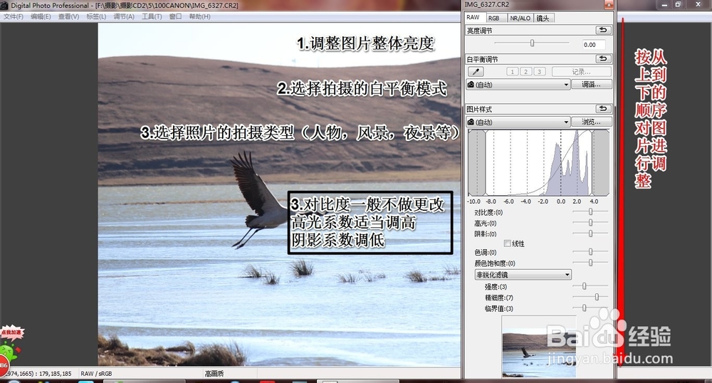 如何使用DPP软件处理cr2图片
