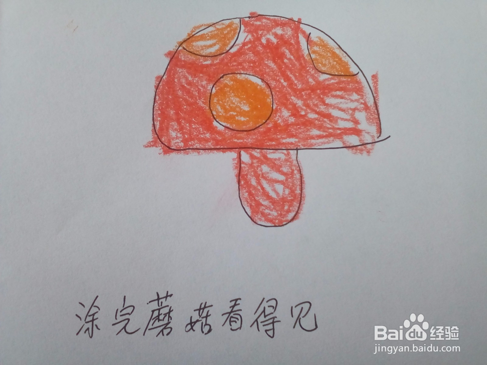 好看又有营养的大蘑菇 12