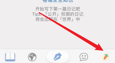 icity我的日记怎么关闭私信的提示