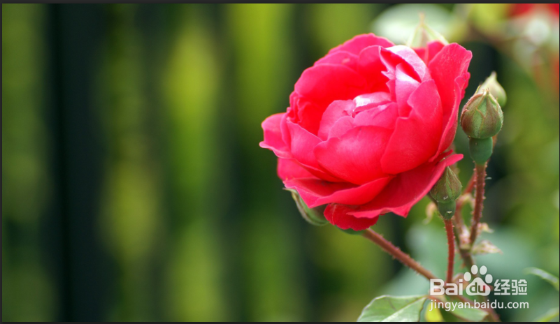 ps制作跨年晚会