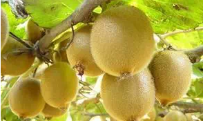 做销售如何让你的话有超强的说服力