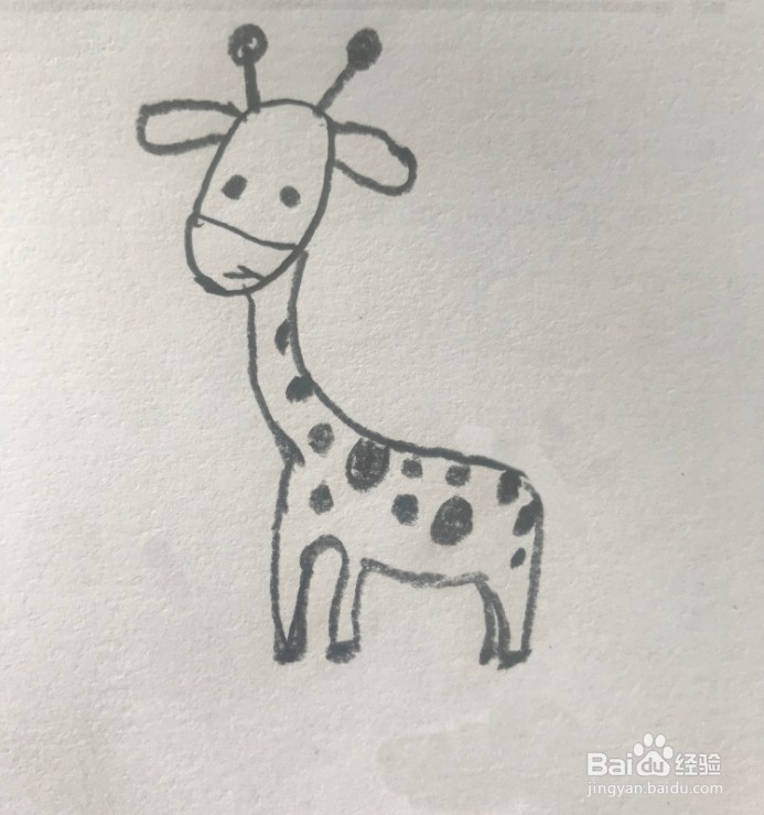 【简笔画】长颈鹿的分步画法