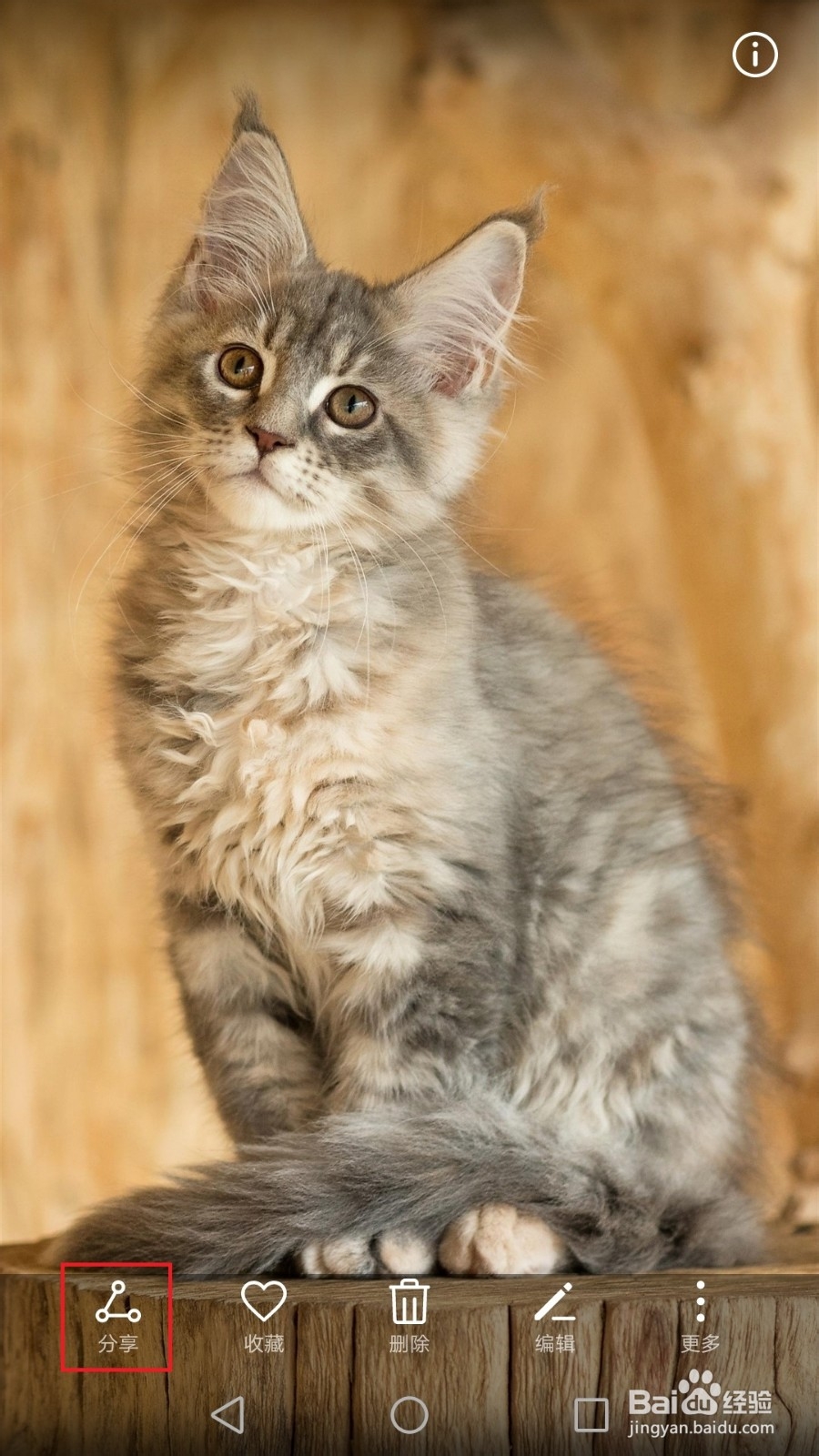 手机照片如何导入电脑