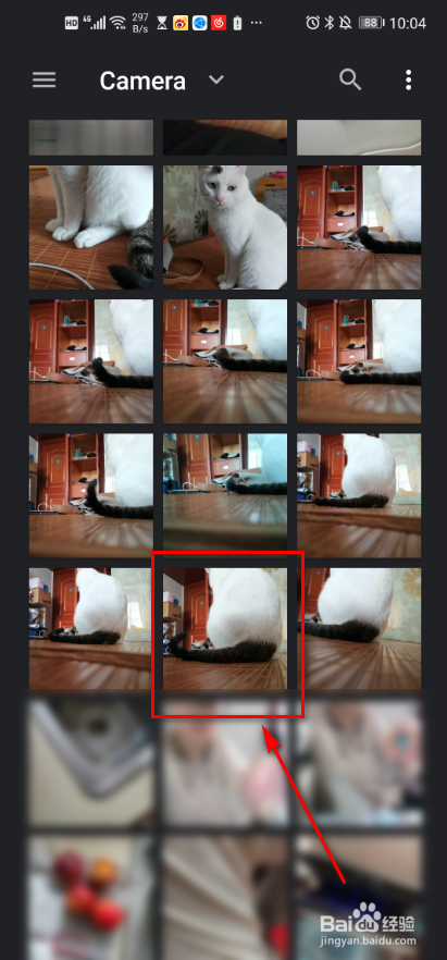 snapseed软件 照片如何设置镜头模糊