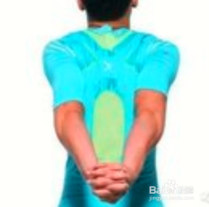 如何快速瘦手臂 ?