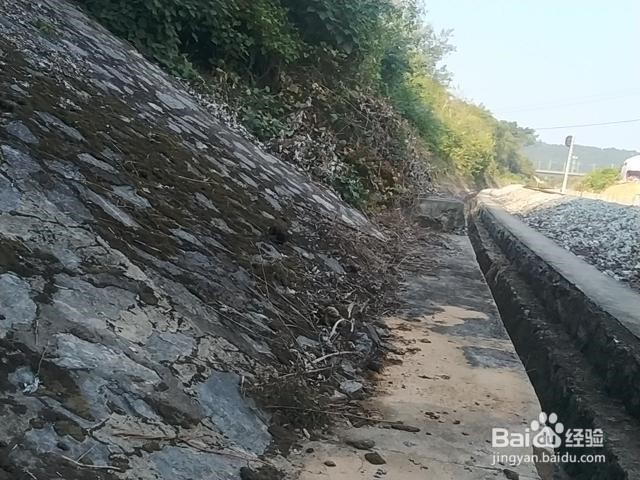 成批画线应在画线架上的要求有哪些