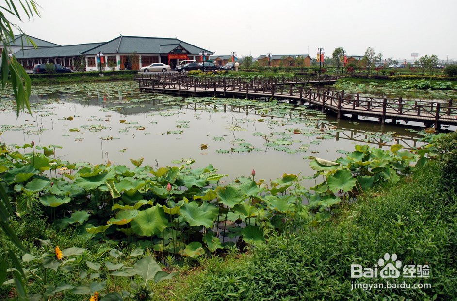 合肥非常适合老同学聚会的地方强烈推荐！