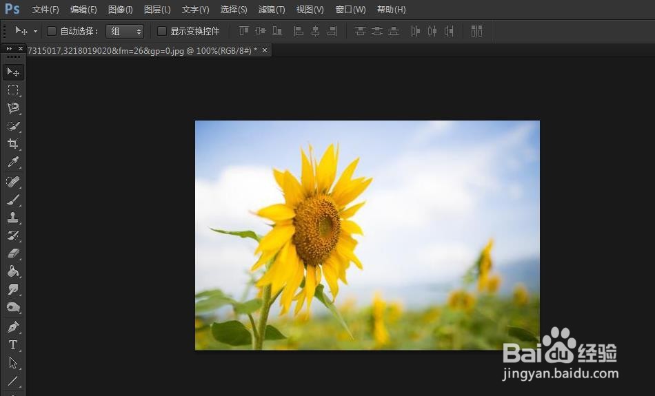 PS如何使用快速选择工具抠图