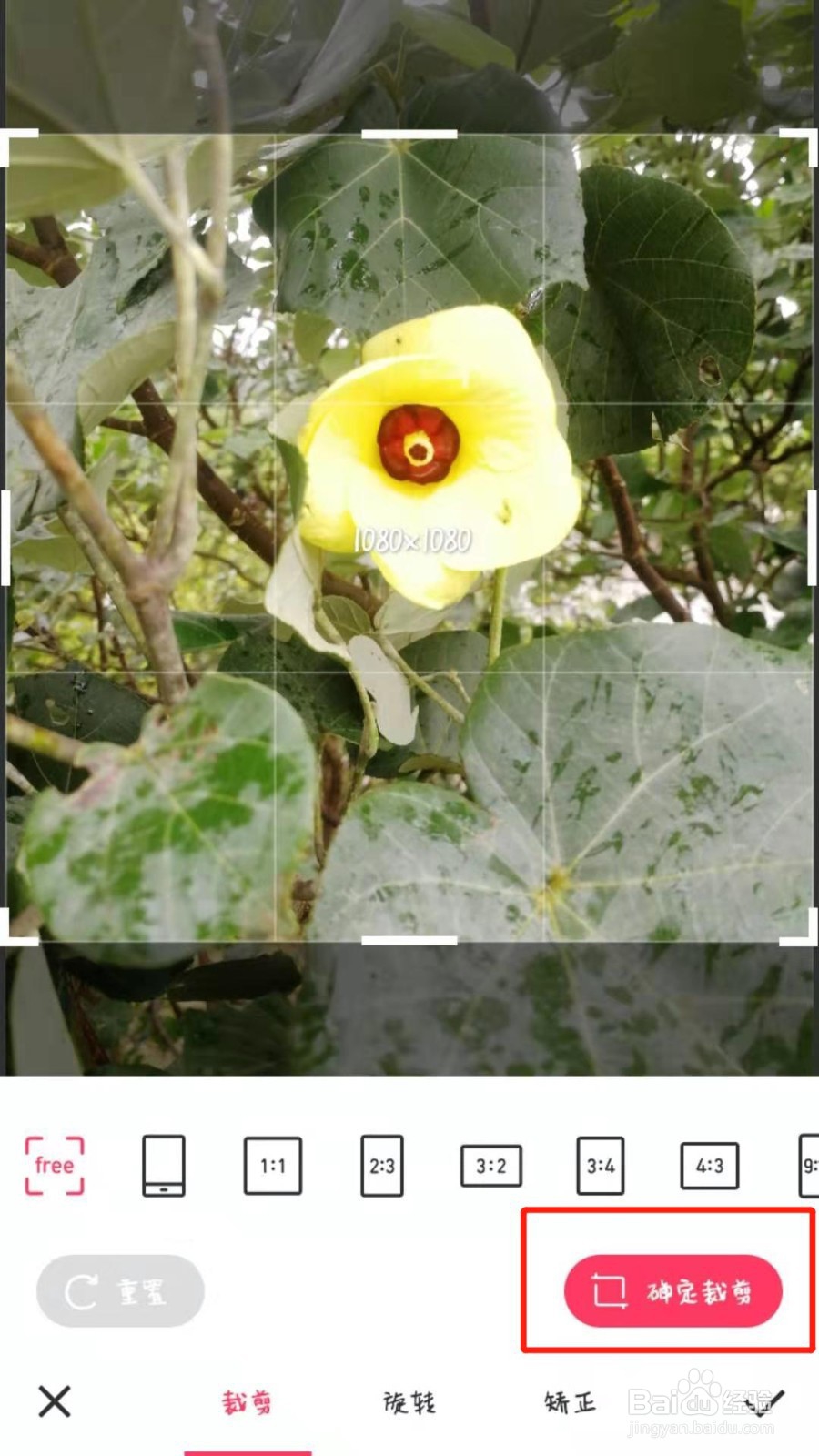 手机版美图秀秀怎么修改图片的大小