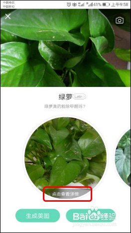 使用识花APP【形色】识别各种植物、花草、果蔬