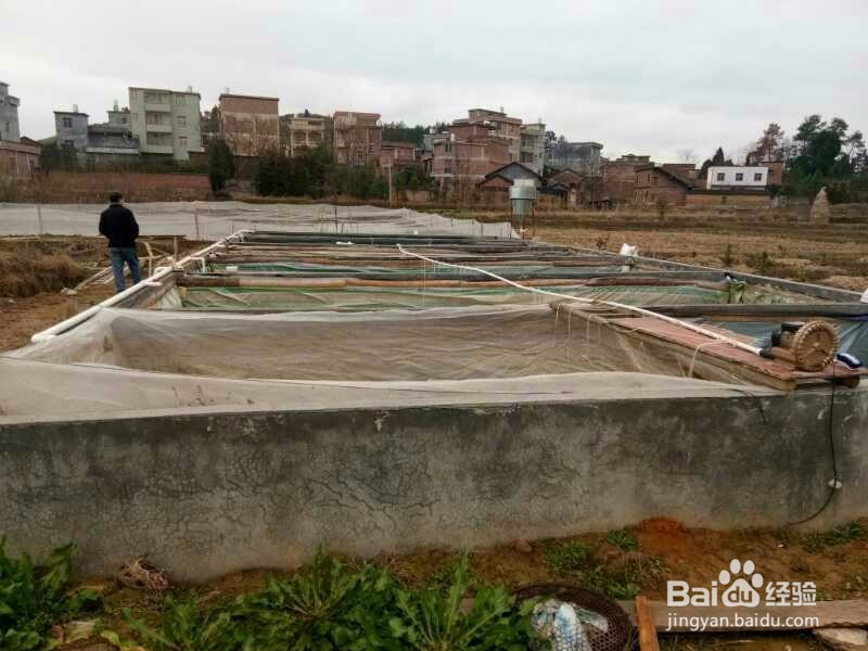 留住2017年过春节美丽时光与倩影的方法