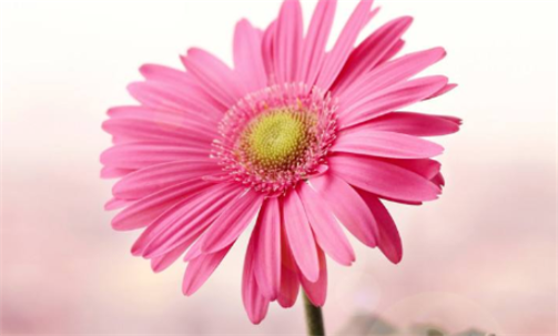 ps色彩相近怎么抠图