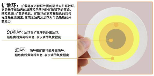 新宝来说明书上面明明写着10000公里免费保养，可是4S店却说5000公里保养，这合理吗