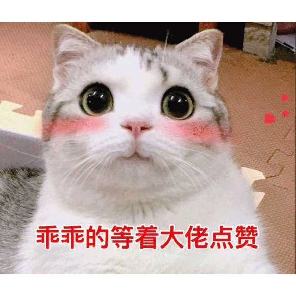 Python实际参数与形式参数