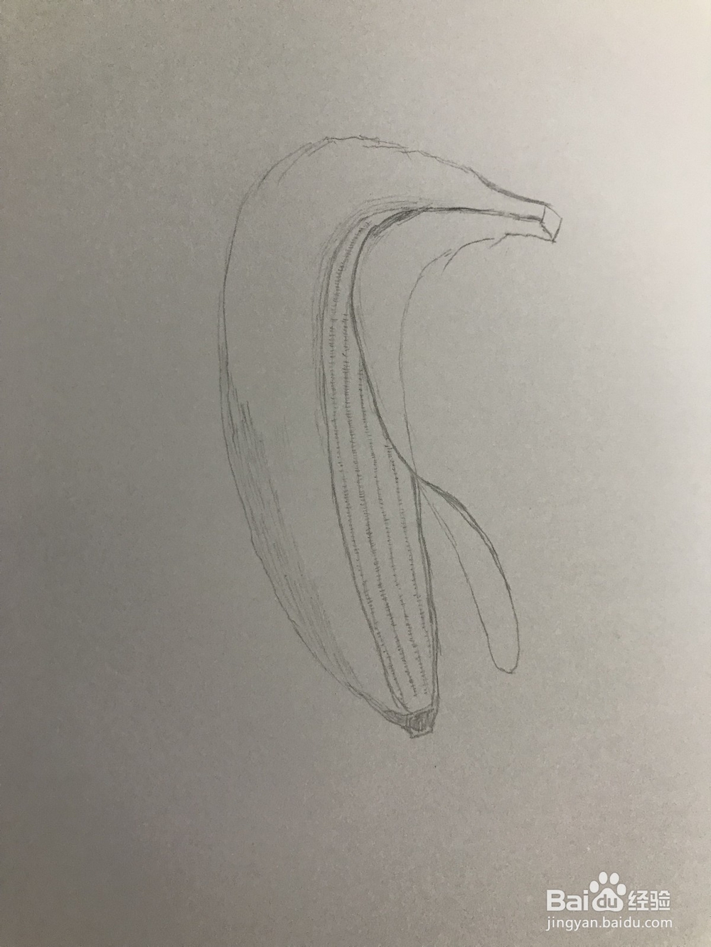 画一个简易香蕉
