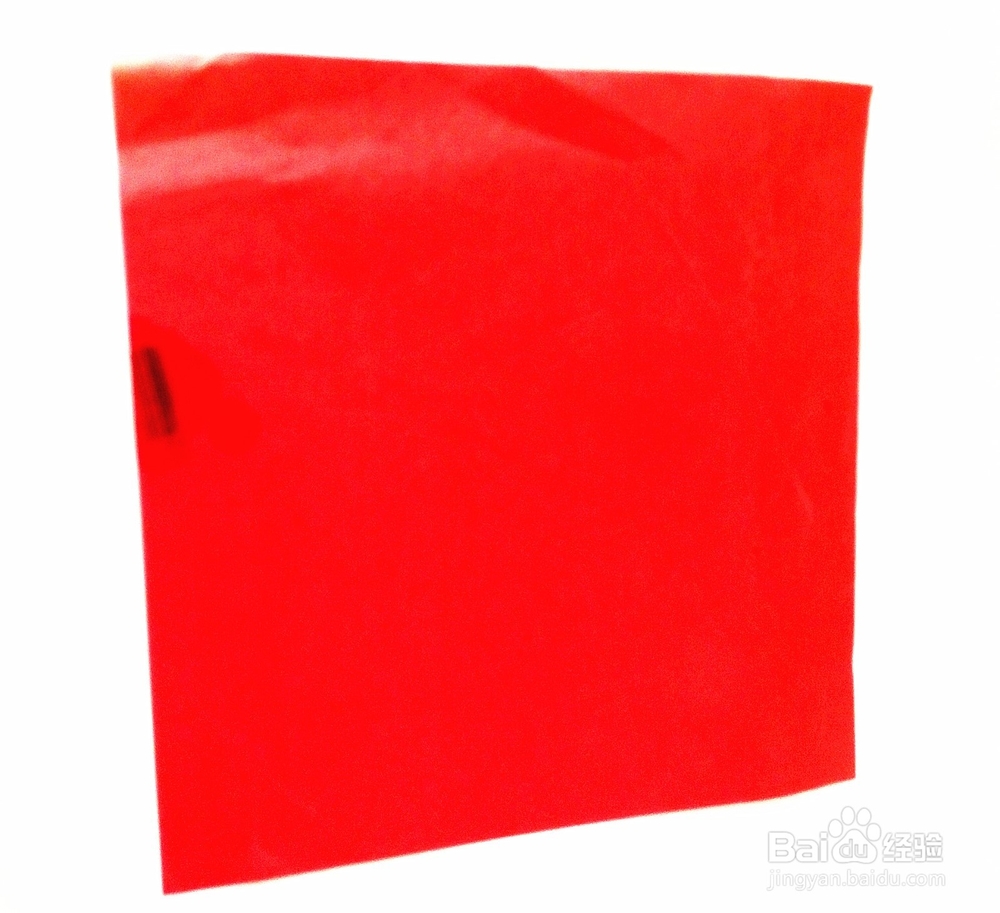 折纸可爱的小兔