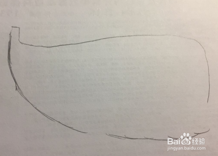 简笔画之喷水的鲸鱼