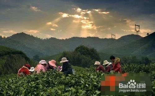 如何利用农村闲置劳动力