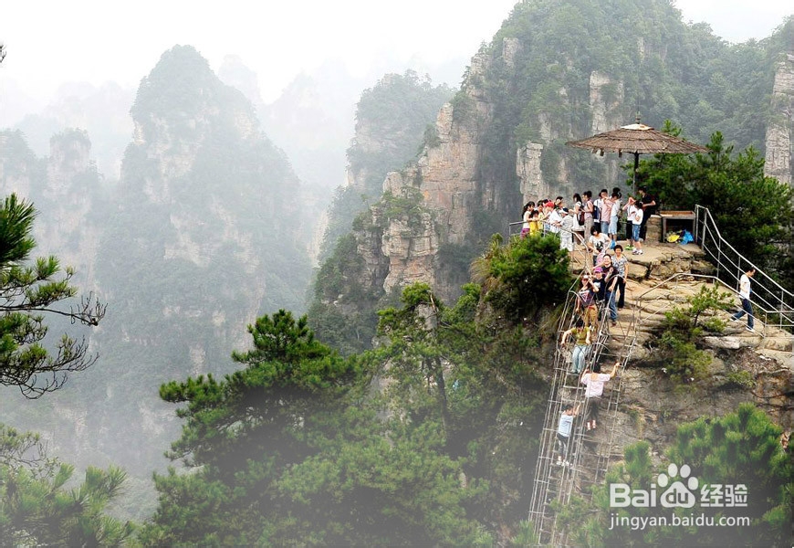 张家界自助游稻草人户外推荐《景点+线路》