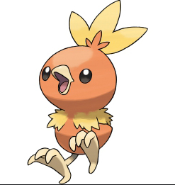 口袋鸡翅中的做法