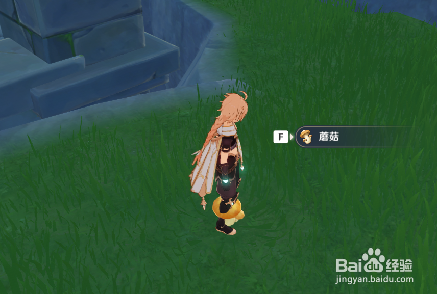 原神如何快速采集蘑菇