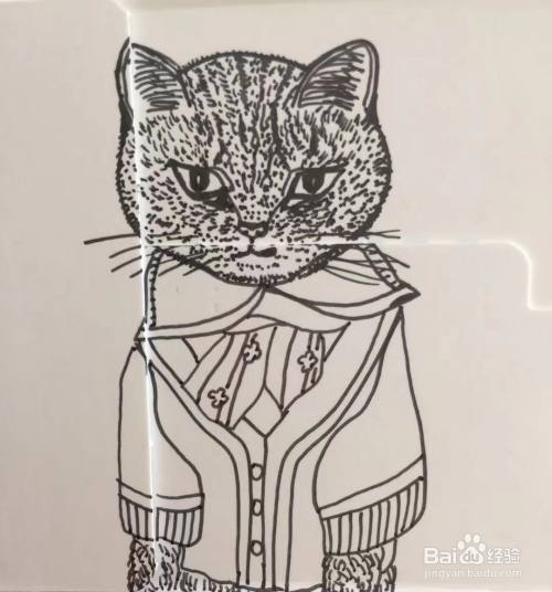 插画教程之俄罗斯蓝猫