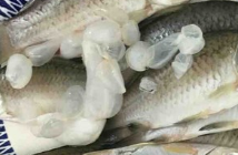 香浓鲫鱼汤的做法