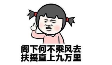 高考还有50多天如何逆袭