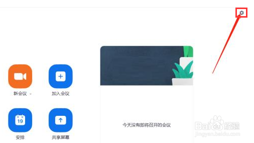 Zoom怎么设置自适应弱光环境