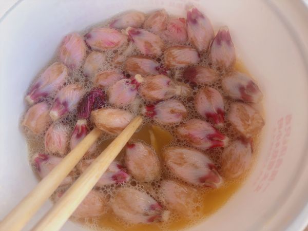 粉嫩木槿花炒蛋