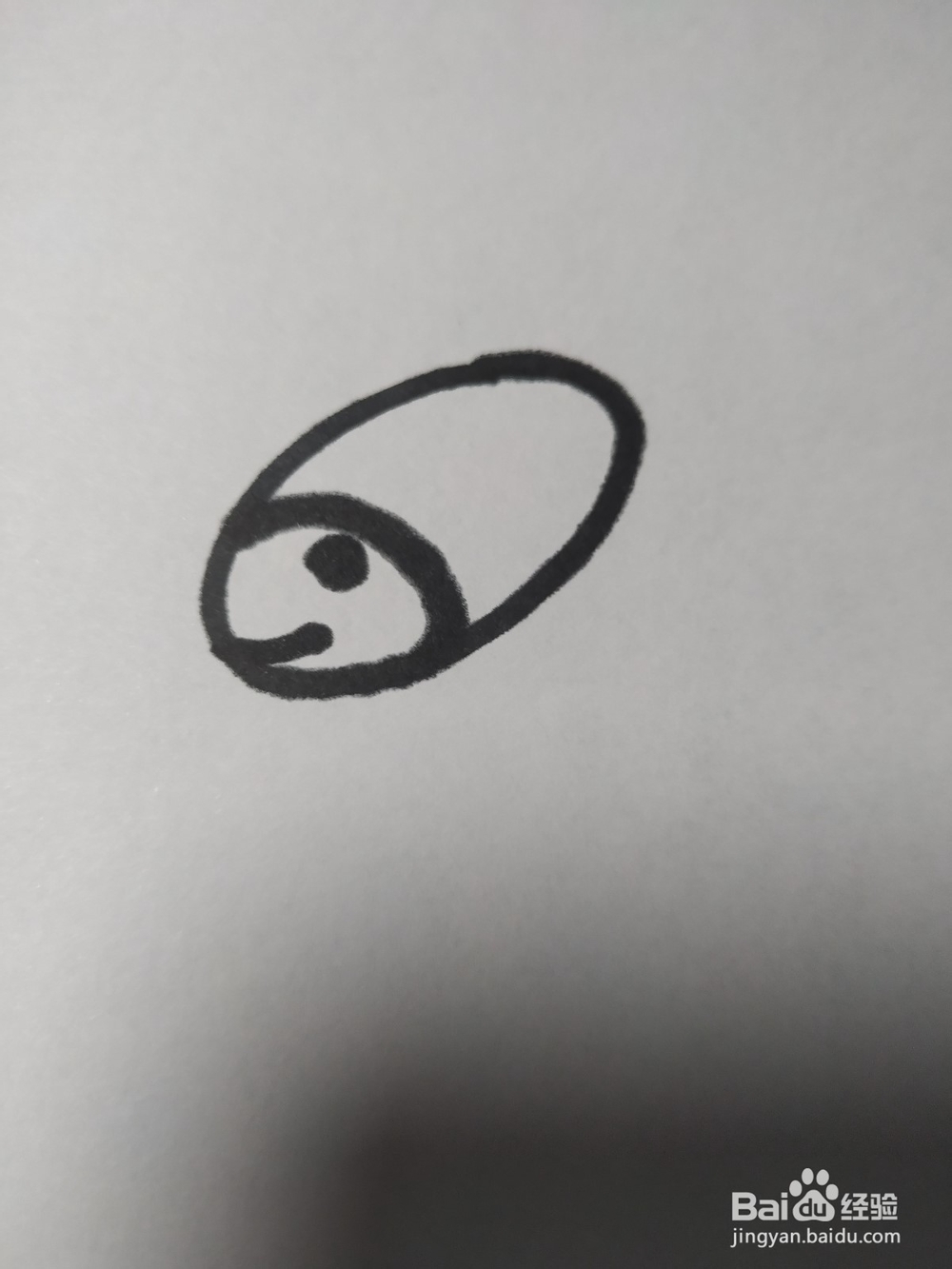 毛驴的简笔画技法3