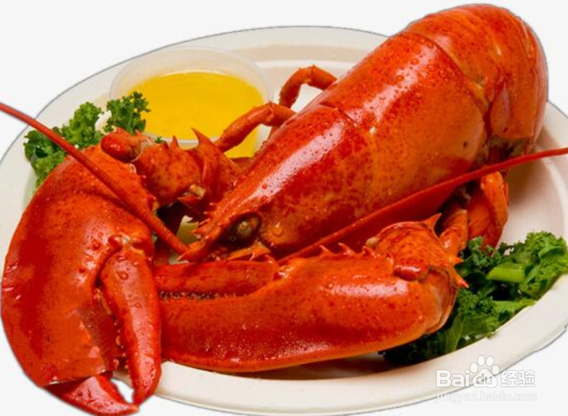 波龙怎么排尿和去虾线