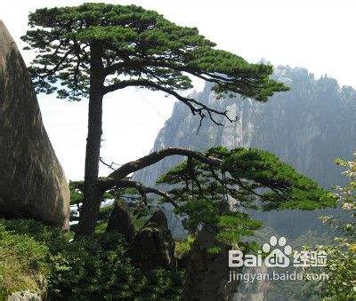 黄山旅游景点攻略