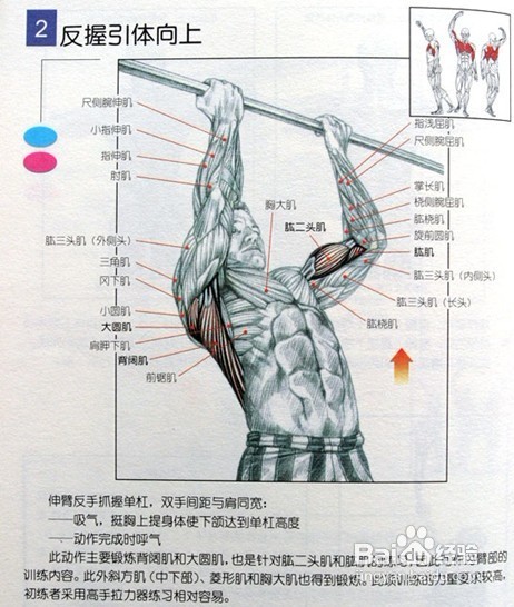 男士必须收藏:男士健身方案