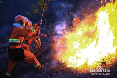 森林里发生火灾正确的做法是