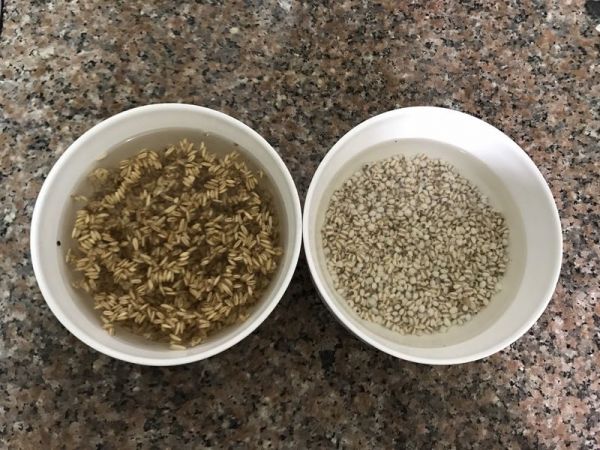 燕麦薏仁鸡柳粥