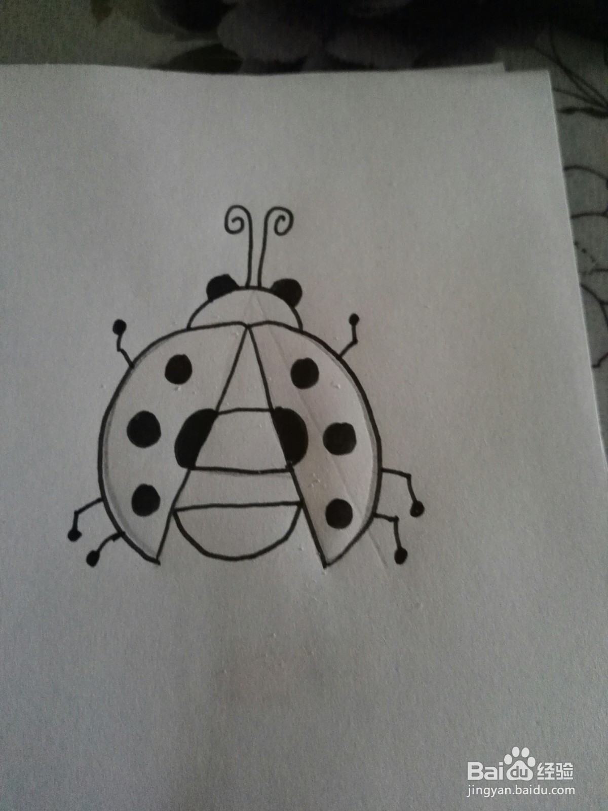 可爱的七星飘虫的简笔画法