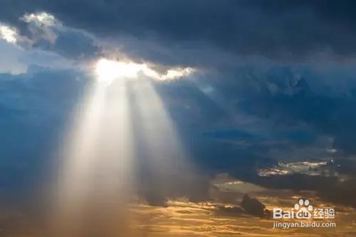 皮带发霉了怎么处理