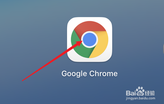 蓝雪花的养殖方法