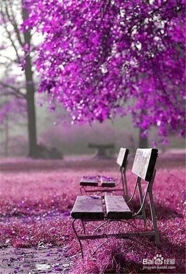 夫妻间如何保鲜?