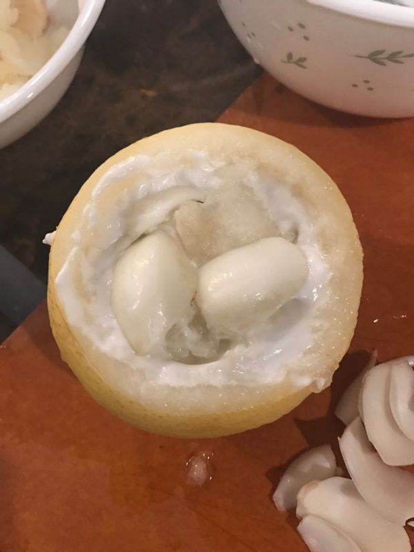 雪梨百合椰奶炖燕窝