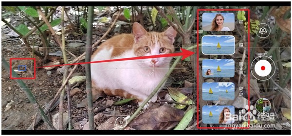 荣耀50pro怎么使用多镜录像