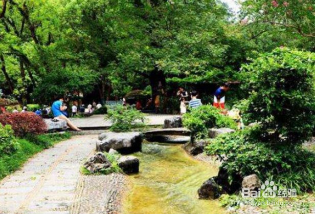 焦作周边风景名胜有哪些