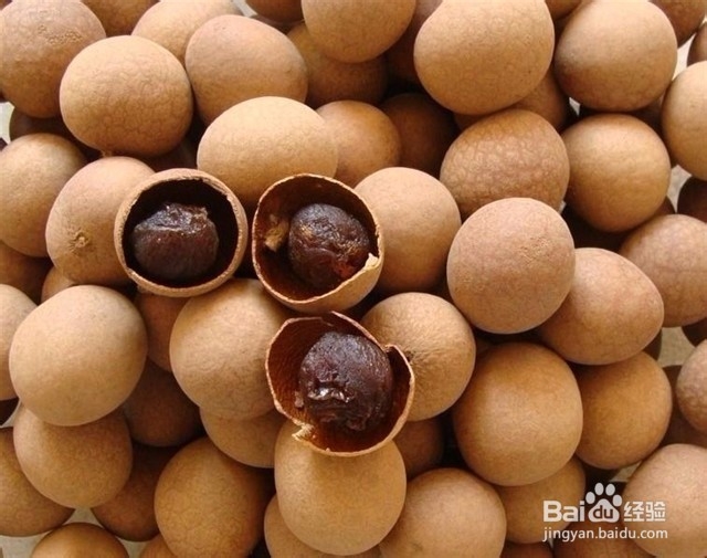 最有助于抵抗衰老的好食物