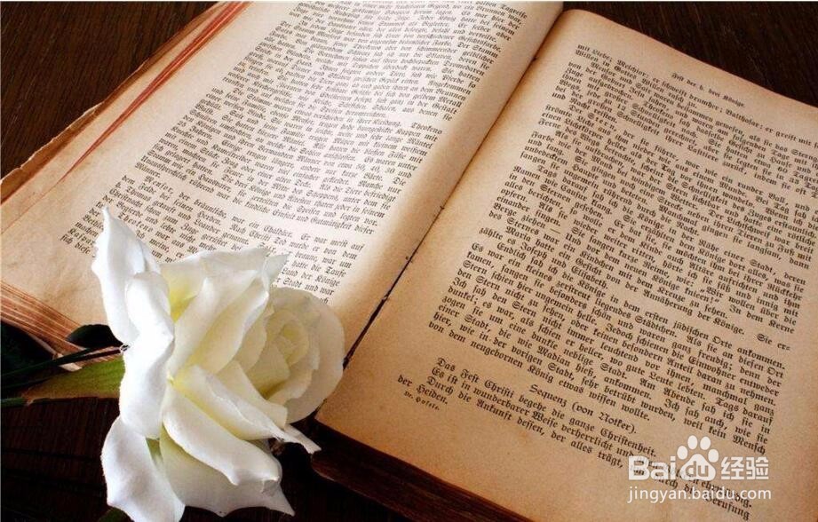 为什么这么多人喜欢看小说？