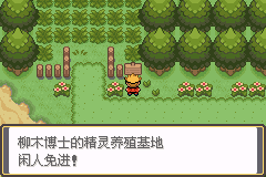 口袋妖怪釉色攻略(19)