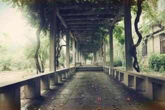 一个女人最值得做的事情