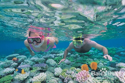 学习浮潜运动需要准备什么？