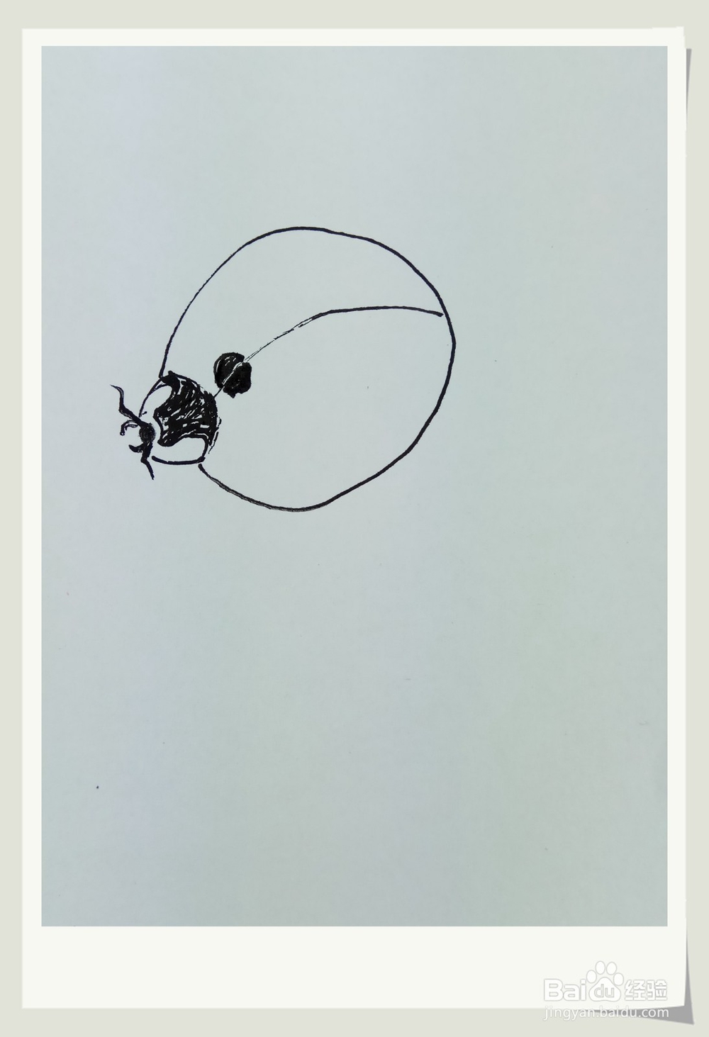 怎样画简笔画“小小七星瓢虫”